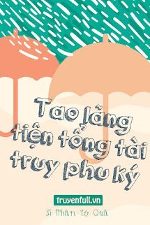 Tao Lãng Tiện Tổng Tài Truy Phu Ký